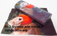 Футляр для очков