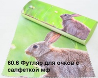 Футляр для очков