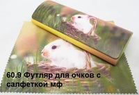 Футляр для очков