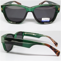 9019 55-17-140 C5 Santarelli POLARIZED 